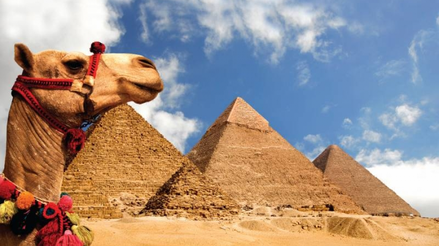 Эскурсия на пирамиды в Египте